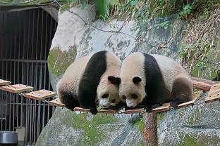 可惜了！迪亚斯单刀犹豫不射门错失良机！